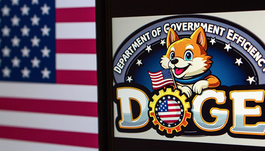 Department of Government Efficiency Doge